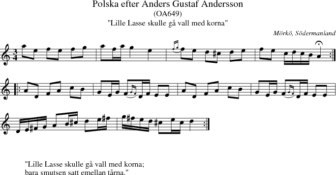 Polska efter Anders Gustaf Andersson